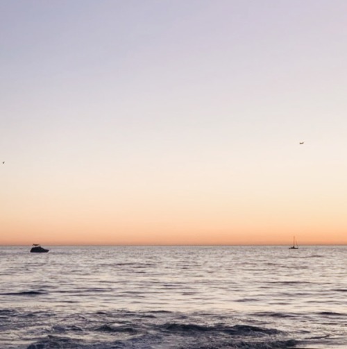 Source: http://shambholic.tumblr.com