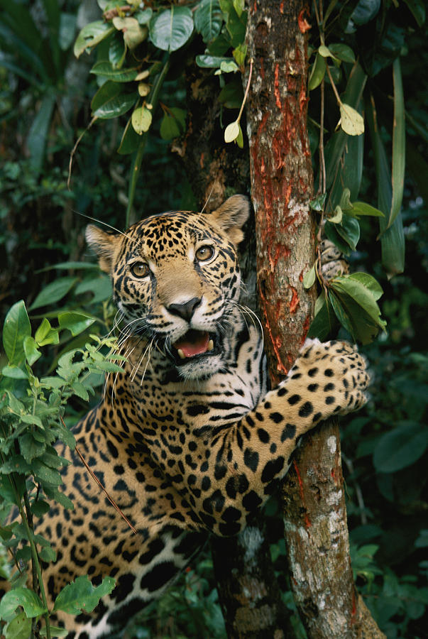 Source: http://solar-bar.tumblr.com