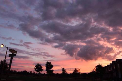 Source: http://shambholic.tumblr.com