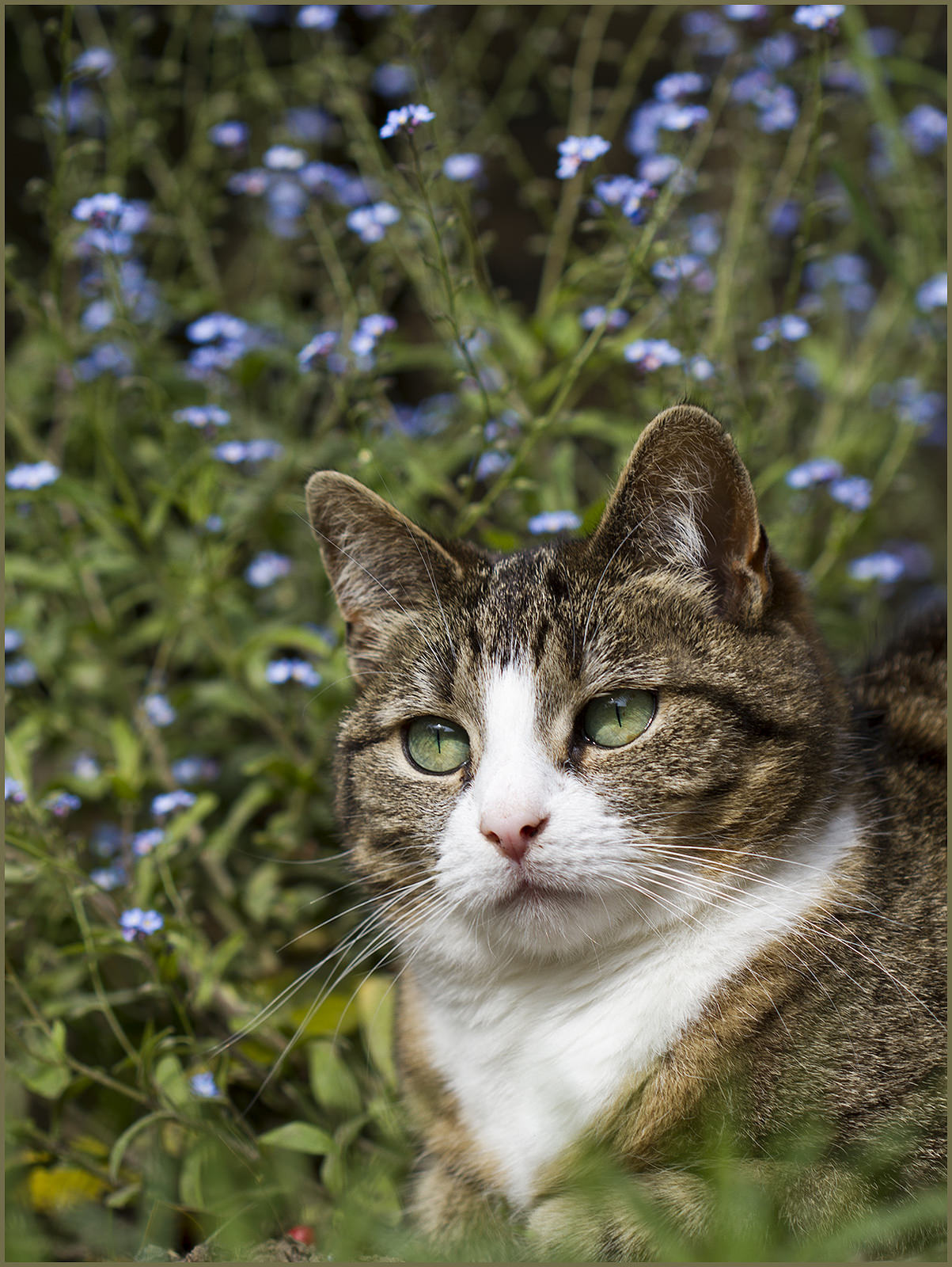 Source: http://satakentia.tumblr.com