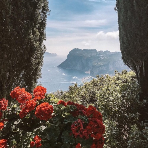 Source: http://solar-bar.tumblr.com