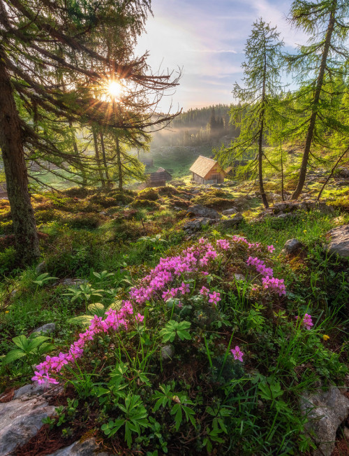 Source: http://allthingseurope.tumblr.com