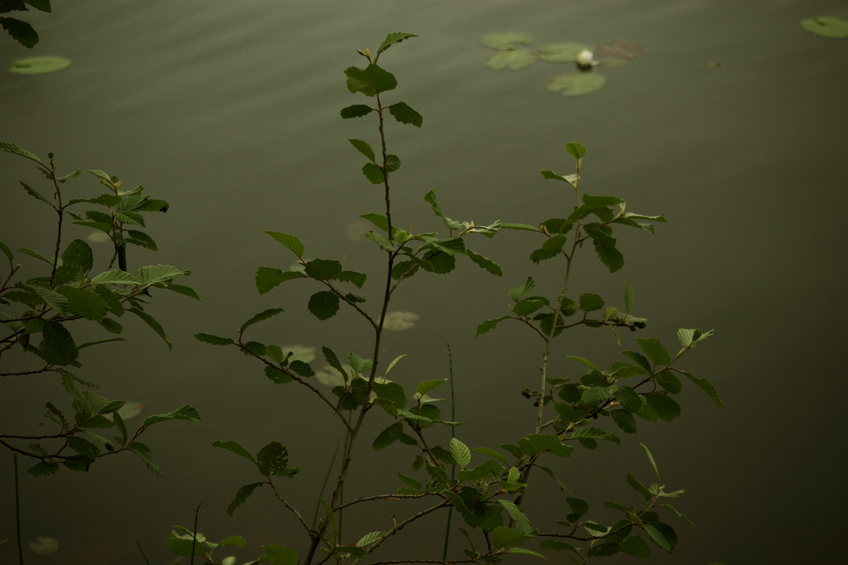 Source: http://solar-bar.tumblr.com