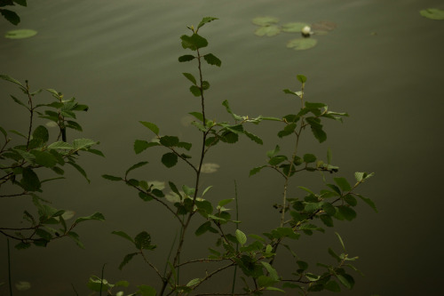 Source: http://solar-bar.tumblr.com