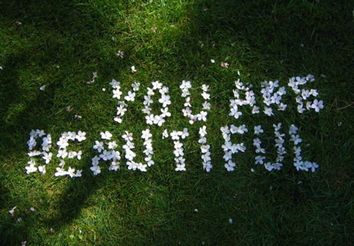 Source: http://solar-bar.tumblr.com