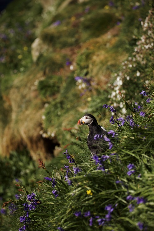 Source: http://kylebonallo.tumblr.com