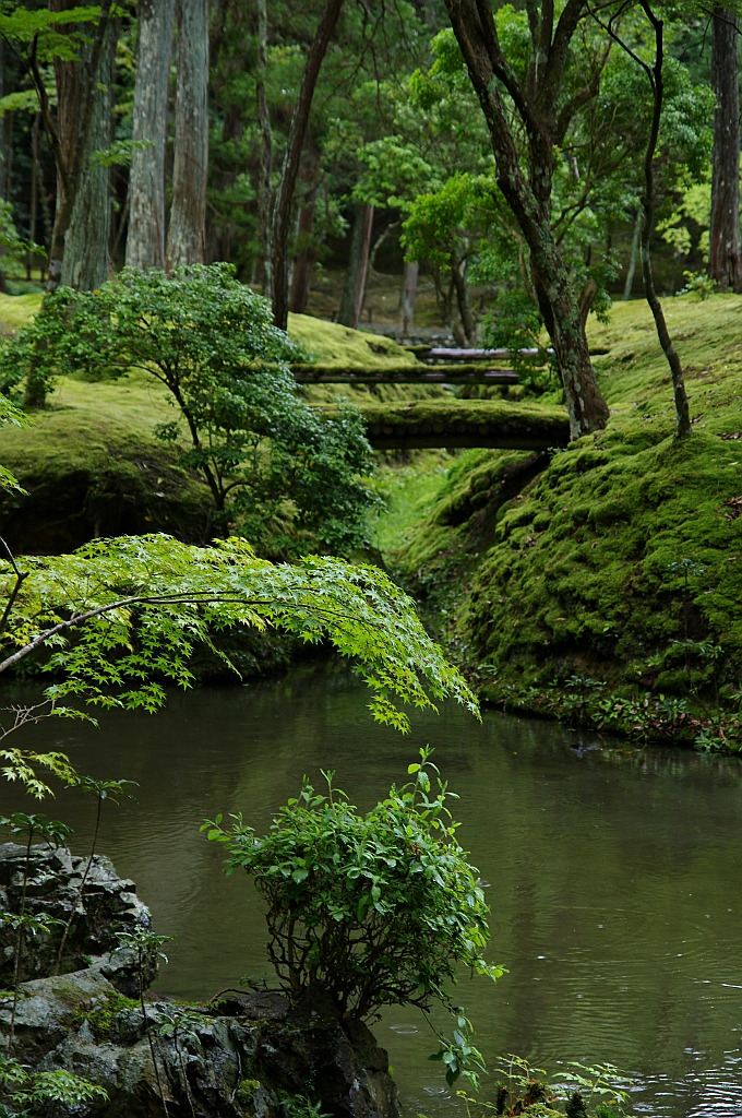 Source: http://faeriegardens.tumblr.com