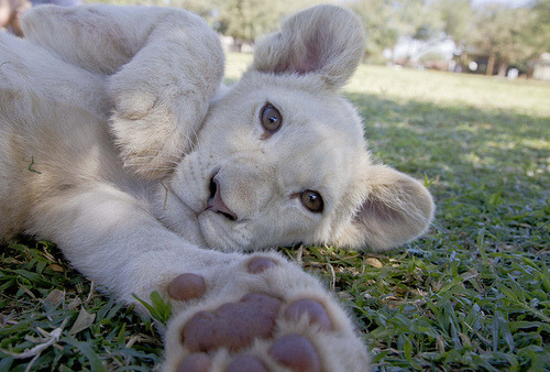 Source: http://luvinportofino.tumblr.com