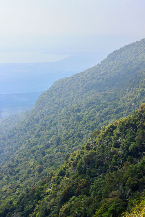 Source: http://tropic-havens.tumblr.com