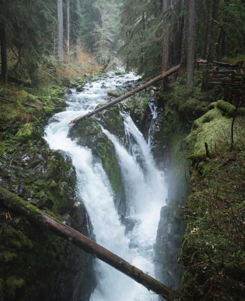 Source: http://naturenook.tumblr.com