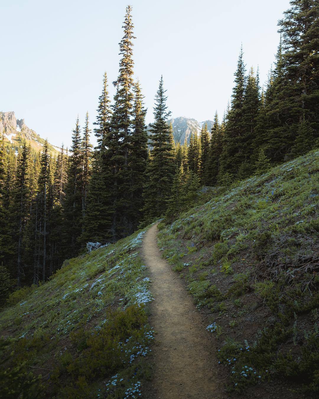 Source: http://a-fricaa.tumblr.com