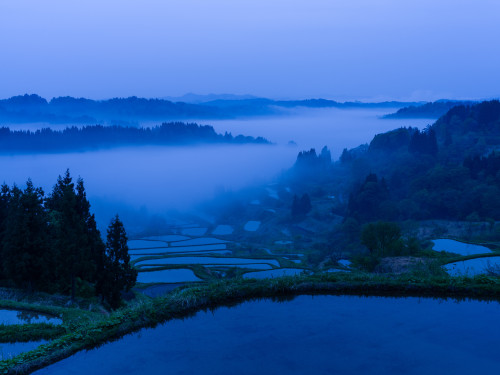 Source: http://tsukikages.tumblr.com