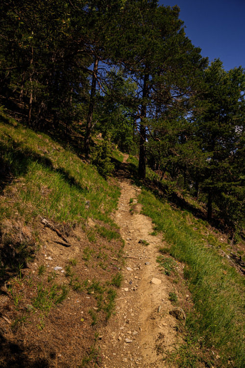 Source: http://nature-hiking.tumblr.com