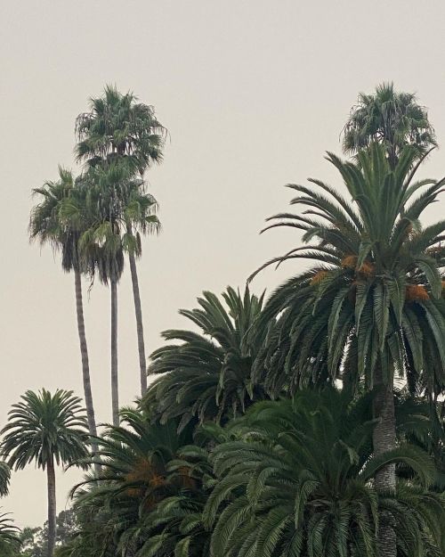 Source: http://wanderluhsts.tumblr.com