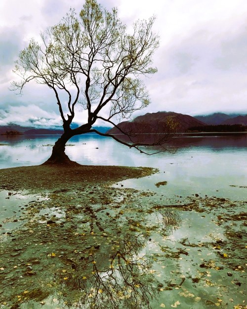 Source: http://oceaniastuff.tumblr.com