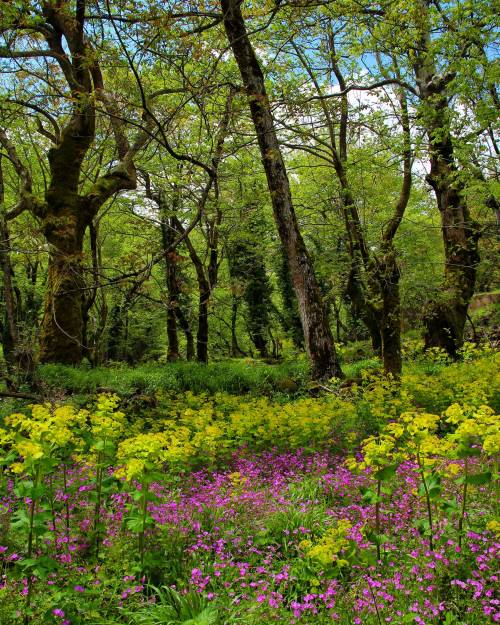 Source: http://gemsofgreece.tumblr.com