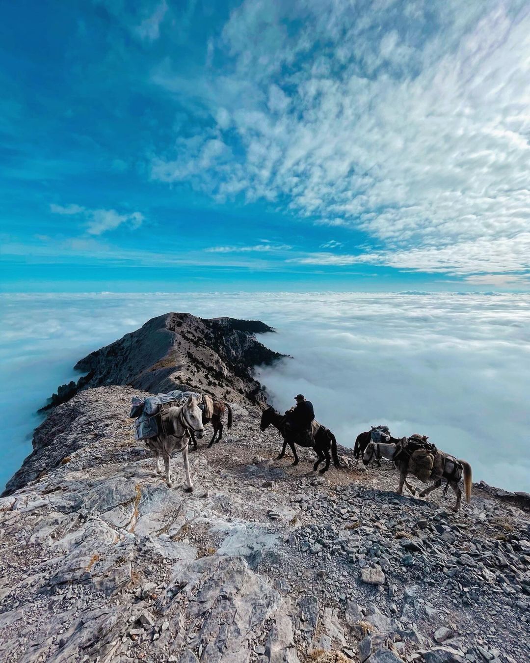 Source: http://gemsofgreece.tumblr.com