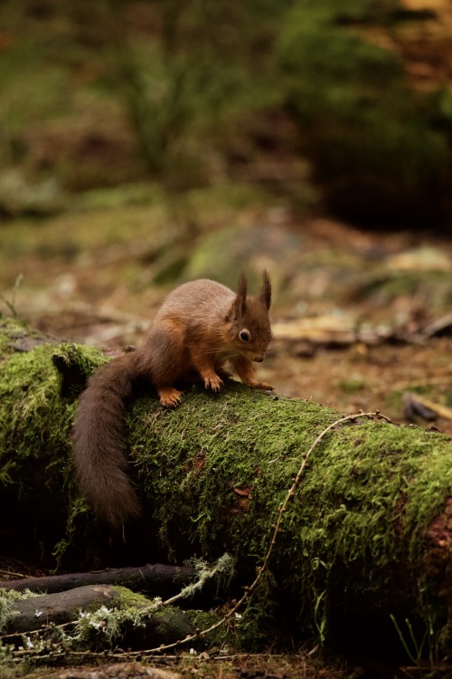 Source: http://kylebonallo.tumblr.com