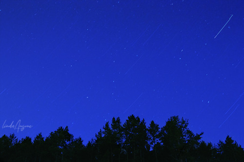 Source: http://j-k-i-ng.tumblr.com