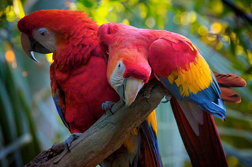 Source: http://solar-bar.tumblr.com