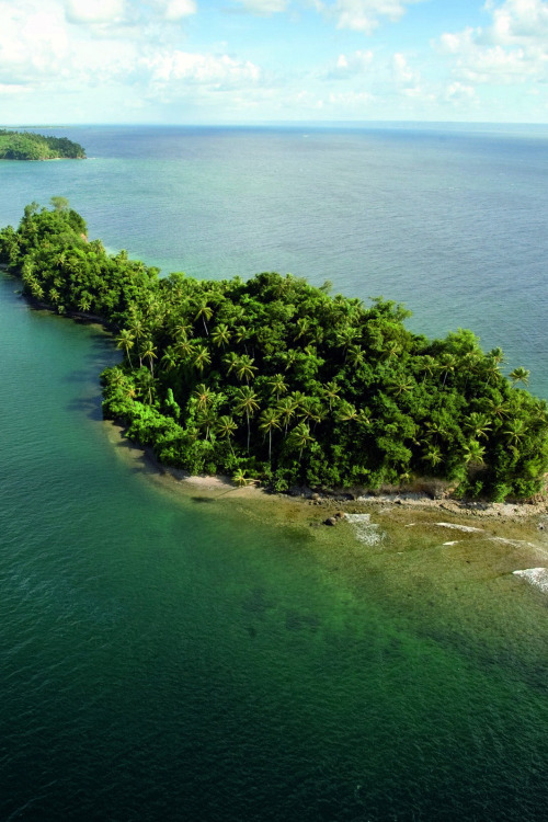 Source: http://tropic-havens.tumblr.com