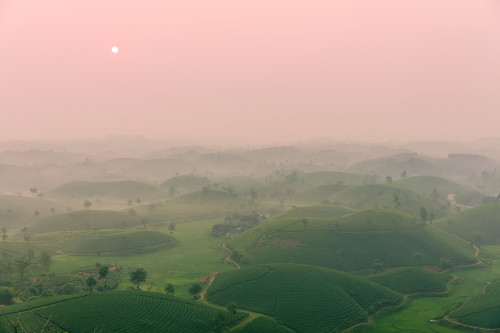 Source: http://expressions-of-nature.tumblr.com