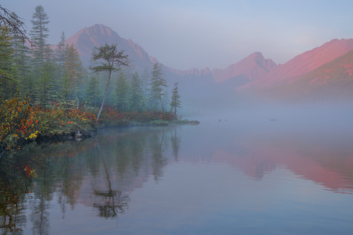 Source: http://expressions-of-nature.tumblr.com