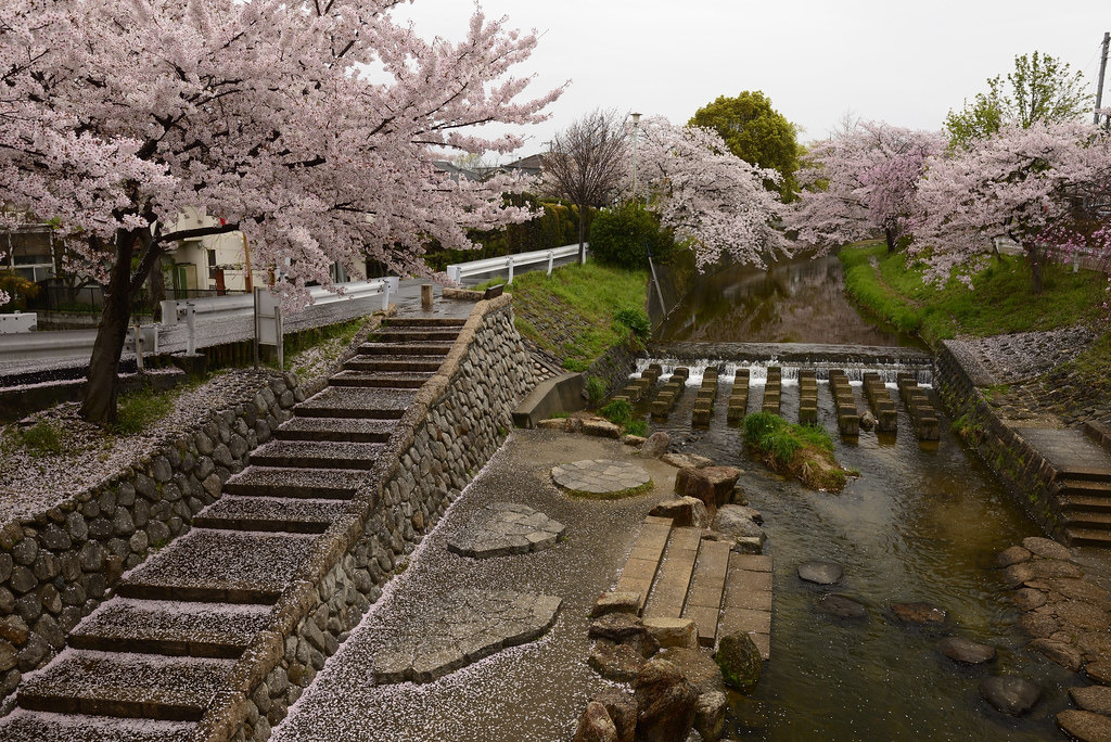 Source: http://tsukikages.tumblr.com