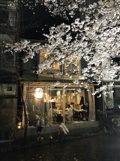 Source: http://solar-bar.tumblr.com