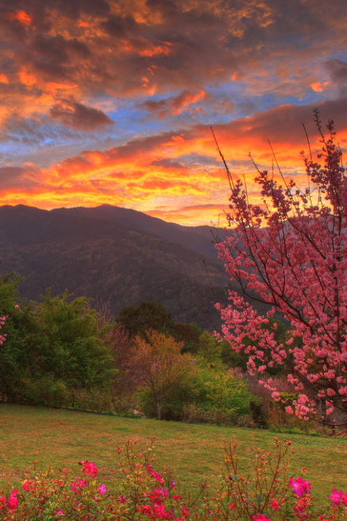 Source: http://coiour-my-world.tumblr.com