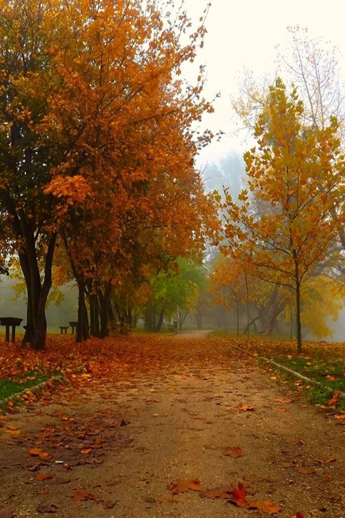 Source: http://etherealvistas.tumblr.com