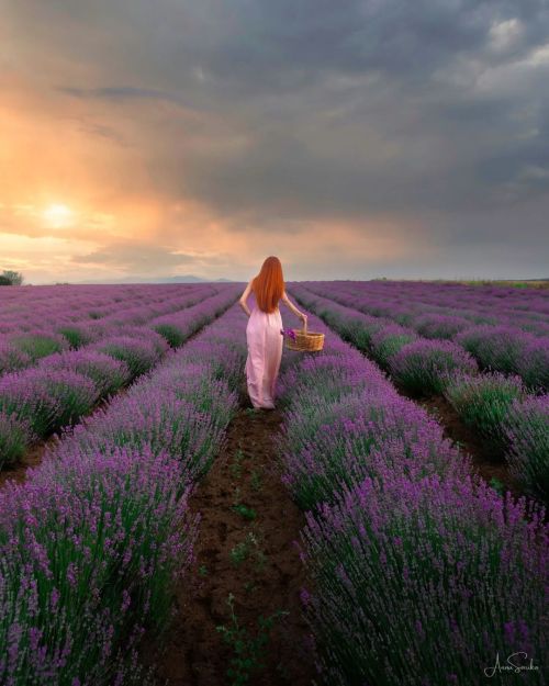 Source: http://gemsofgreece.tumblr.com