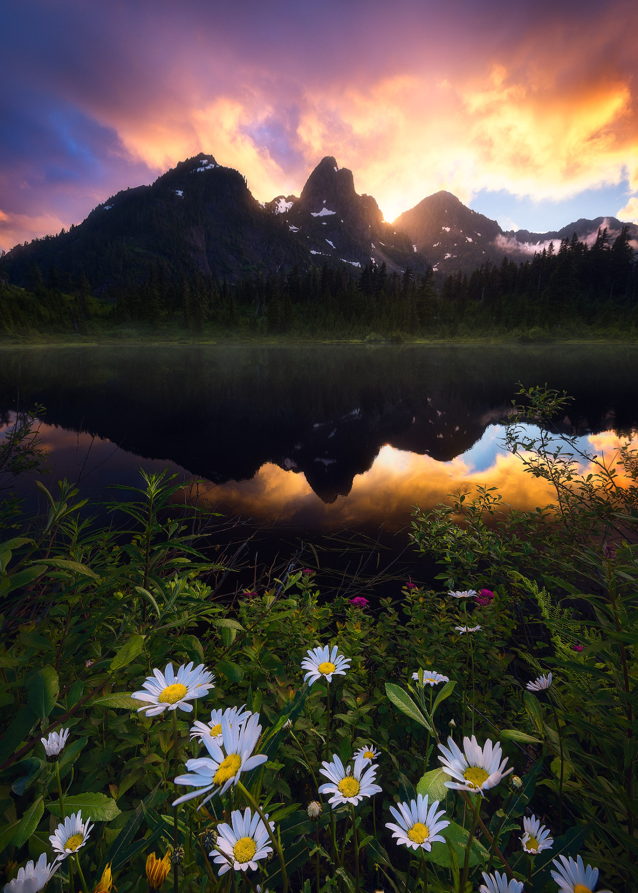 Source: http://coiour-my-world.tumblr.com