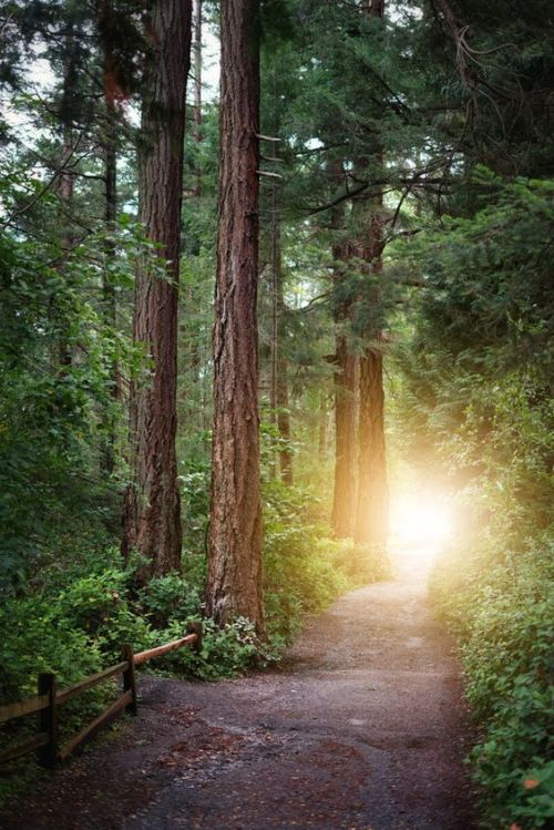 Source: http://silvaris.tumblr.com