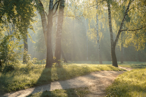 Source: http://expressions-of-nature.tumblr.com