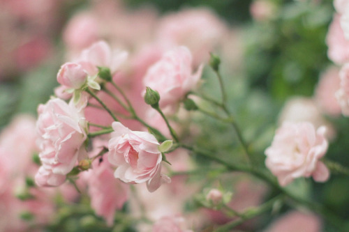 Source: http://breathings.tumblr.com