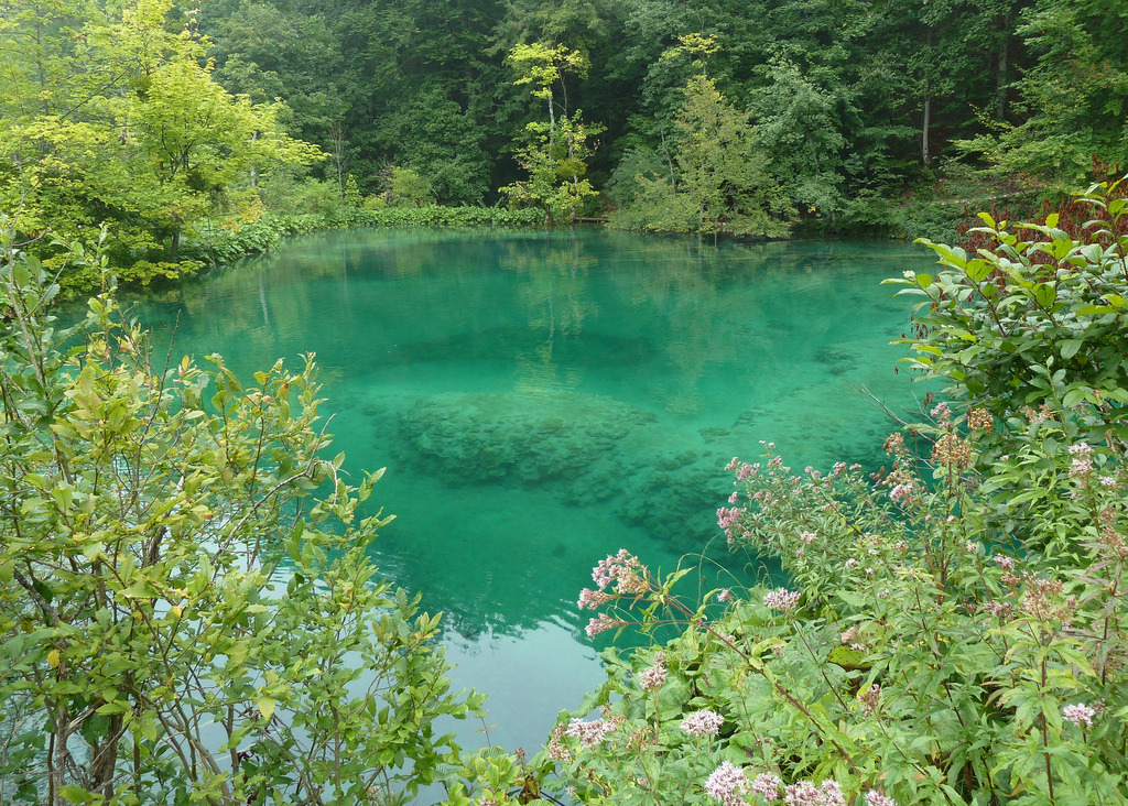 Source: http://faeriegardens.tumblr.com