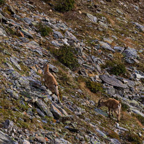 Source: http://nature-hiking.tumblr.com