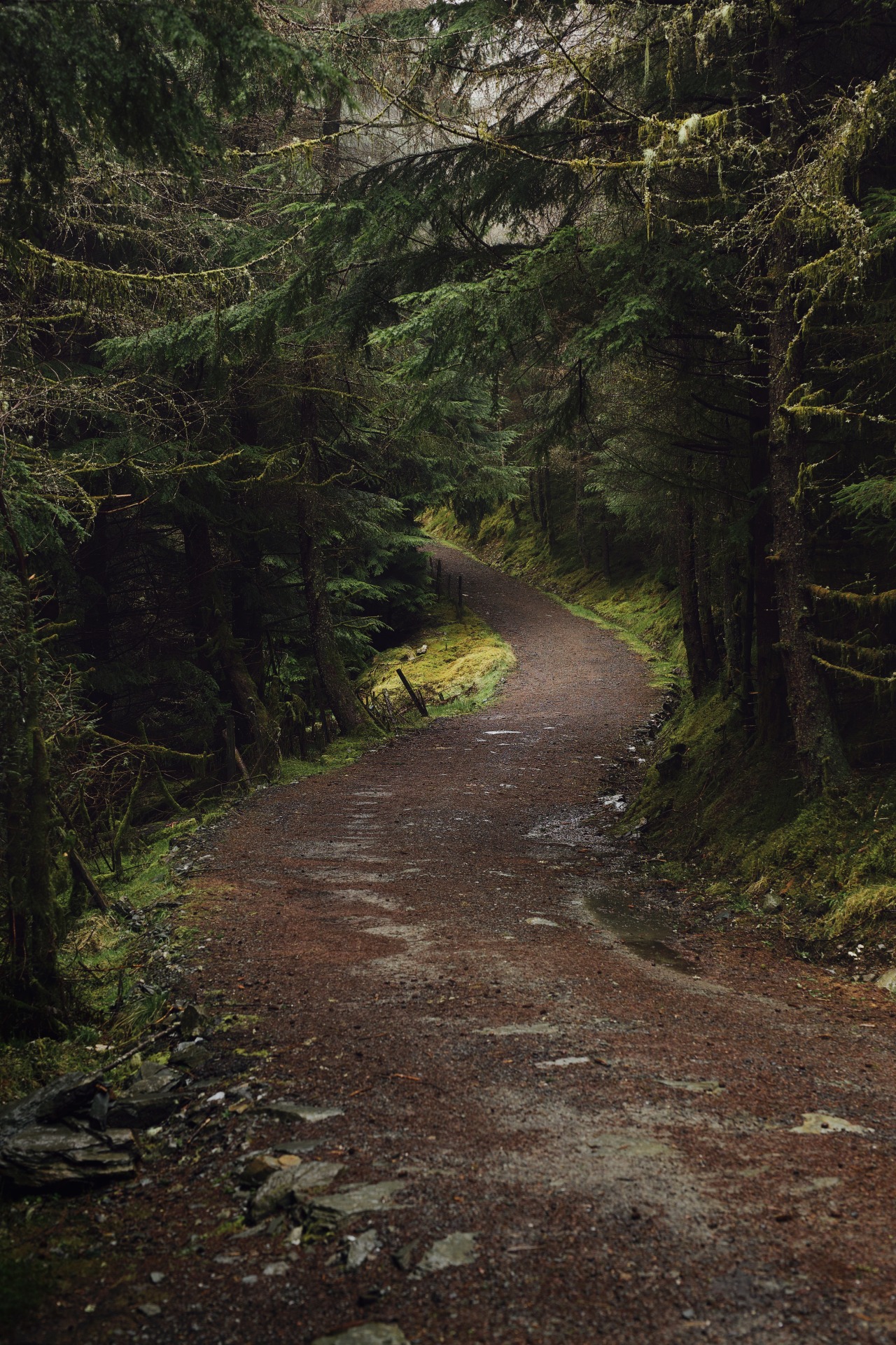 Source: http://satakentia.tumblr.com