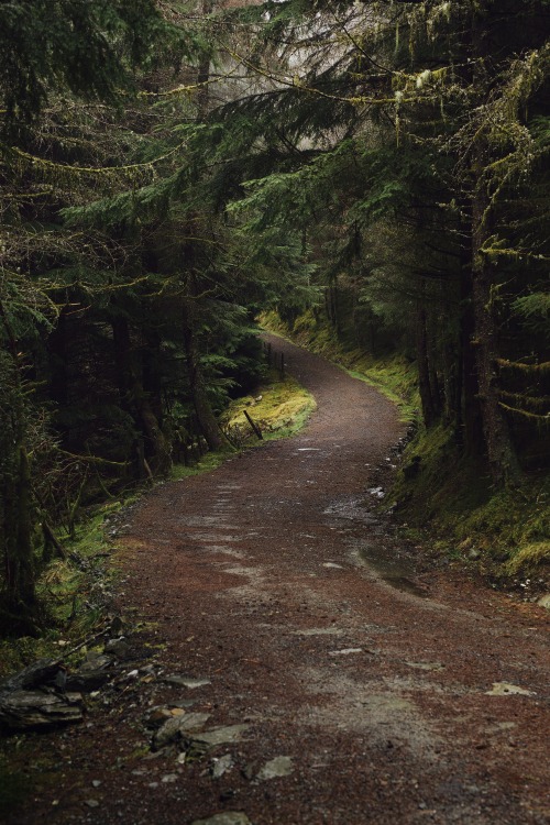 Source: http://satakentia.tumblr.com