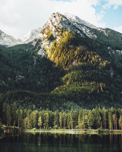 Source: http://shambholic.tumblr.com