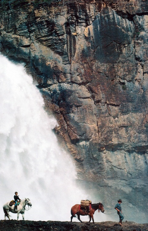 Source: http://junglerain.tumblr.com