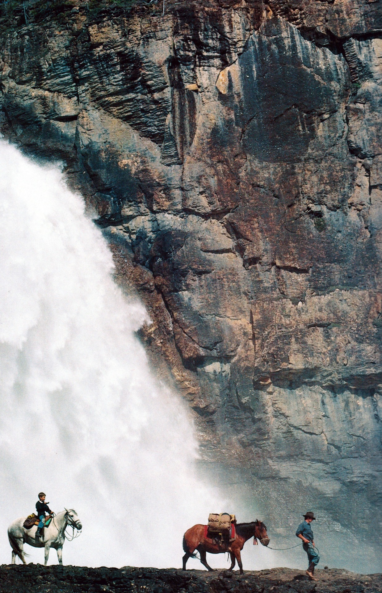 Source: http://junglerain.tumblr.com