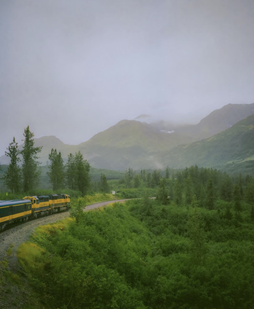 Source: http://junglerain.tumblr.com