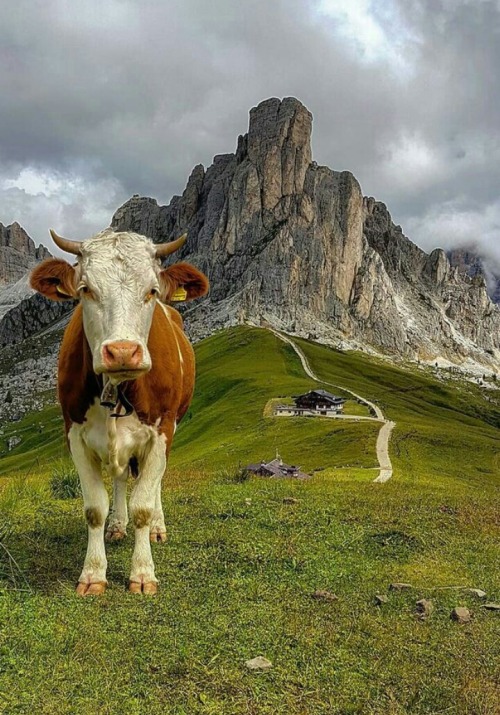 Source: http://european-euphoria.tumblr.com