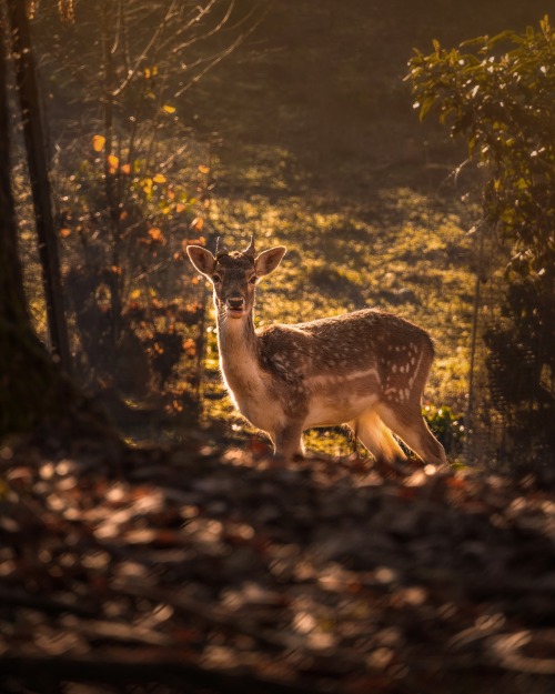 Source: http://gemsofgreece.tumblr.com