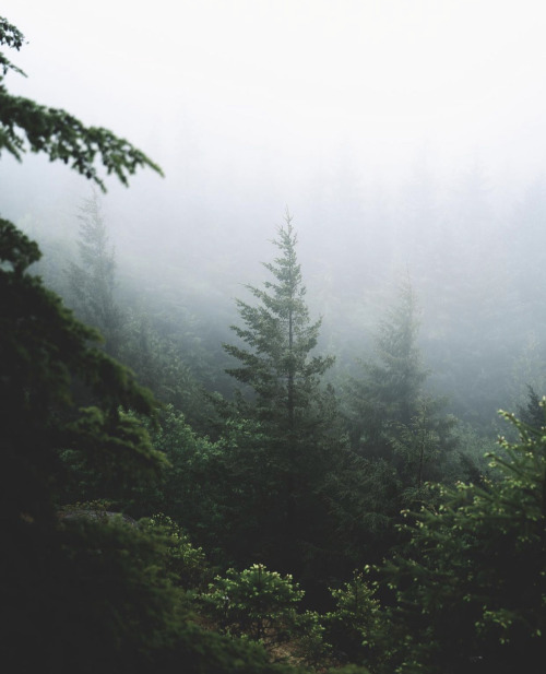 Source: http://breathings.tumblr.com