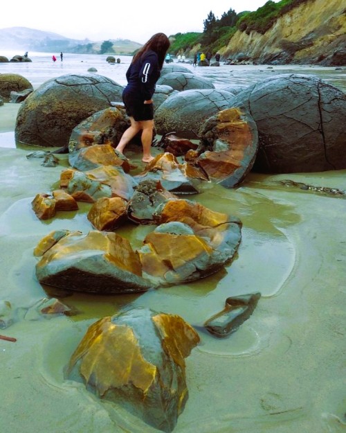 Source: http://oceaniastuff.tumblr.com