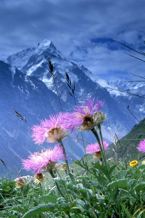 Source: http://etherealvistas.tumblr.com