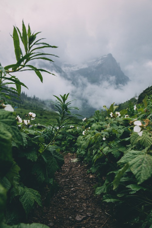 Source: http://j-k-i-ng.tumblr.com